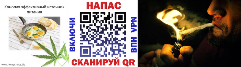 OMG ТОР  сайты даркнета Telegram  Cannafood конопля  Майкоп 