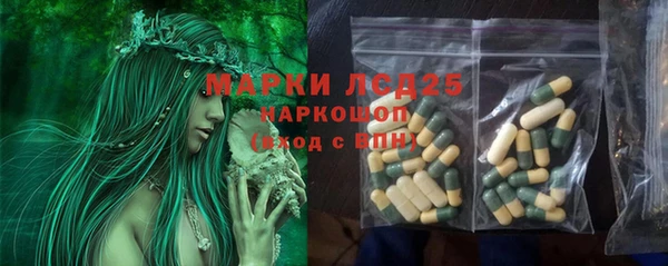 ешки Алзамай