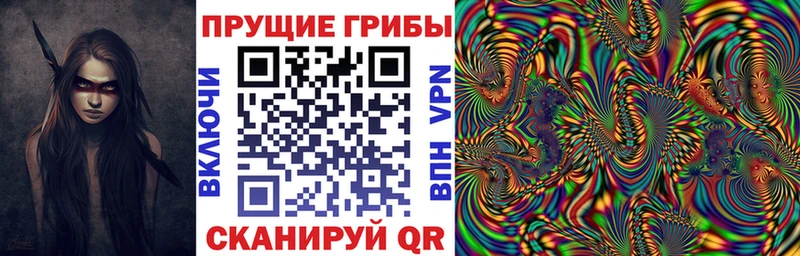 Псилоцибиновые грибы мицелий  Майкоп 